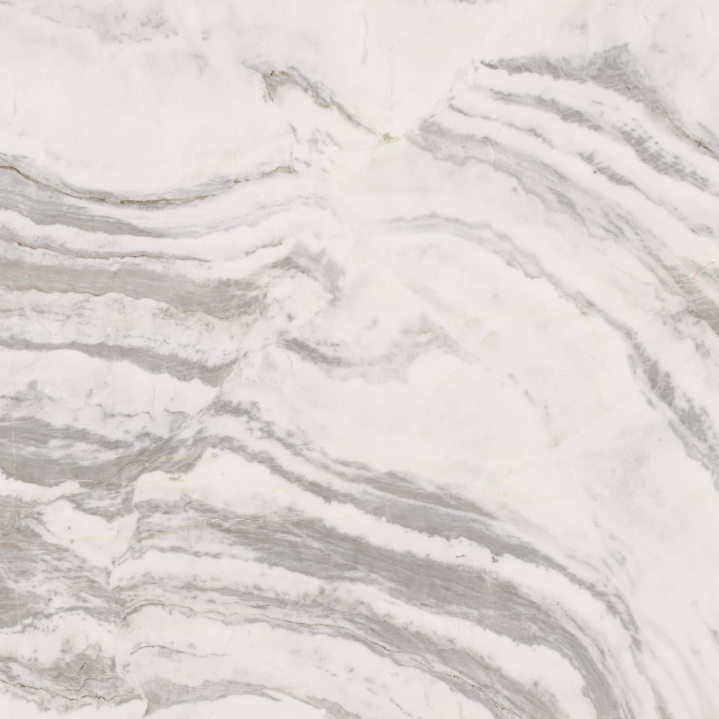 Calacatta Dolomite
